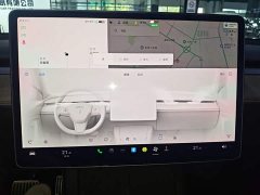 Tesla Model Y 2021 Standard Range RWD - ფოტო 13