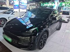 Tesla Model Y 2021 Standard Range RWD - ფოტო 2