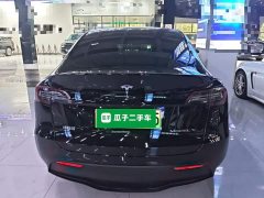 Tesla Model Y 2021 Standard Range RWD - ფოტო 6