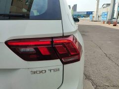 Volkswagen Tiguan L Outstanding Edition 300TSI Automatic FWD Dragon Ascendant Version - ფოტო 8