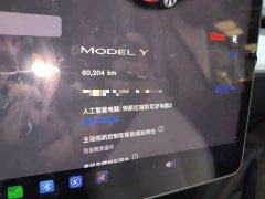 Tesla Model Y 2022 Facelift Rear-Wheel Drive - ფოტო 12