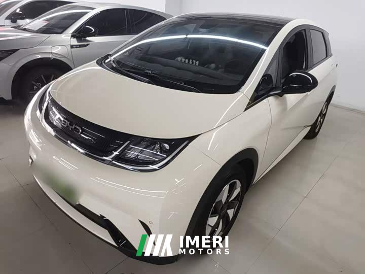 BYD Dolphin Glory Edition 420km Fashion Version