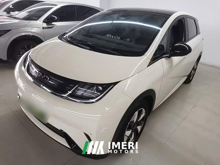 BYD Dolphin Glory Edition 420km Fashion Version - ავტომობილი ჩინეთიდან