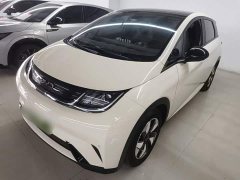 BYD Dolphin Glory Edition 420km Fashion Version - ფოტო 1