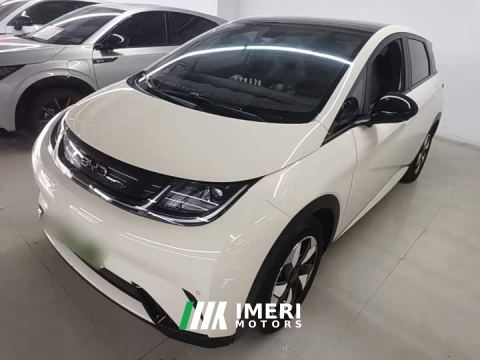 2024 BYD Dolphin Glory Edition 420km Fashion Version