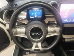BYD Dolphin Glory Edition 420km Fashion Version - ფოტო 11