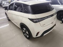 BYD Dolphin Glory Edition 420km Fashion Version - ფოტო 5