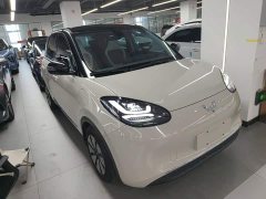 Wuling Binguo 2023 410km Lingxi Premium Edition - ფოტო 4