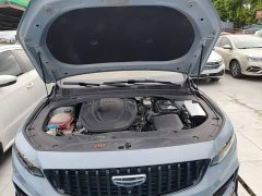 Geely Xingrui 2.0T Diesel Space Edition - ფოტო 20