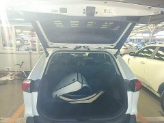 Toyota RAV4 2024 2.0L CVT FWD Fashion Plus - ფოტო 19