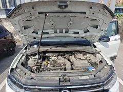 Volkswagen Tiguan L Outstanding Edition 300TSI Automatic FWD Dragon Ascendant Version - ფოტო 20