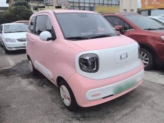 FAW Besturn Xiaoma 222km Linglong Edition - ფოტო 4