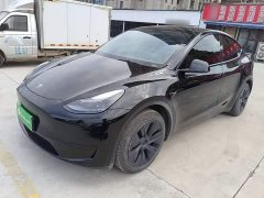 Tesla Model Y Rear-Wheel Drive - ფოტო 1