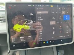 Tesla Model Y Rear-Wheel Drive - ფოტო 12