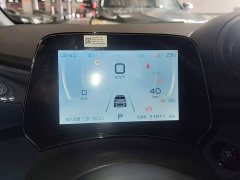 BYD Dolphin 401km Knight Edition - ფოტო 12