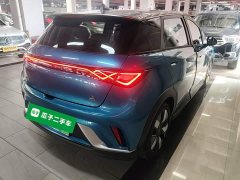 BYD Dolphin 401km Knight Edition - ფოტო 7