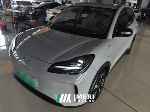 2024 Wuling Binguo PLUS 330km 5-Seater - car from China