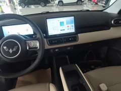 Wuling Binguo PLUS 330km 5-Seater - ფოტო 13