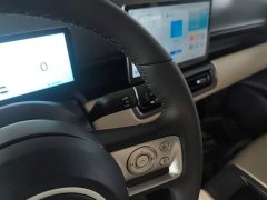 Wuling Binguo PLUS 330km 5-Seater - ფოტო 14