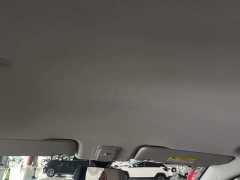 Wuling Binguo PLUS 330km 5-Seater - ფოტო 18