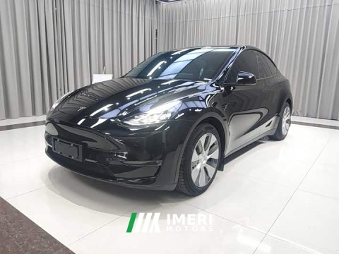 2021 Tesla Model Y Standard Range RWD - ავტომობილი ჩინეთიდან