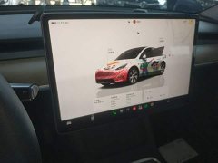 Tesla Model Y Rear-Wheel Drive - ფოტო 13