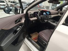 Chery Tiggo 9 2025 2.0T Automatic Two-Wheel Drive Premium 5-Seater - ფოტო 16