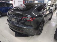 Tesla Model Y Rear-Wheel Drive - ფოტო 7