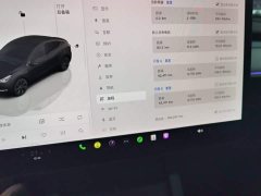 Tesla Model Y Rear-Wheel Drive - ფოტო 12