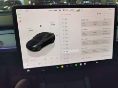 Tesla Model Y Rear-Wheel Drive - ფოტო 13