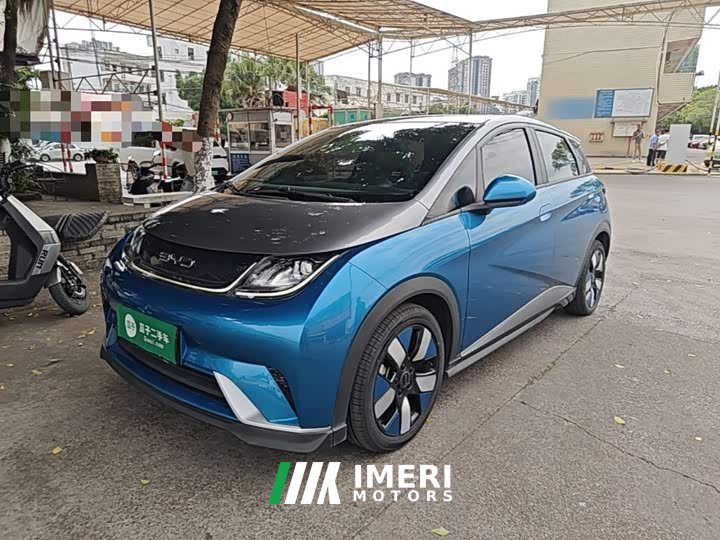 BYD Dolphin 401km Knight Edition - ავტომობილი ჩინეთიდან