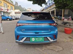 BYD Dolphin 401km Knight Edition - ფოტო 6