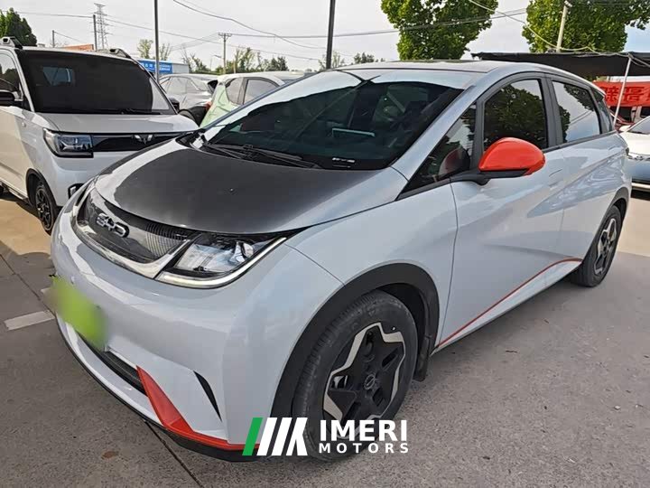 BYD Dolphin 405km Fashion Edition - ავტომობილი ჩინეთიდან