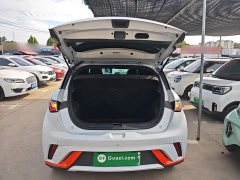 BYD Dolphin 405km Fashion Edition - ფოტო 19