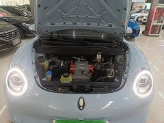 ORA Good Cat 2021 400km Standard Range Venus Edition LFP Battery - ფოტო 20