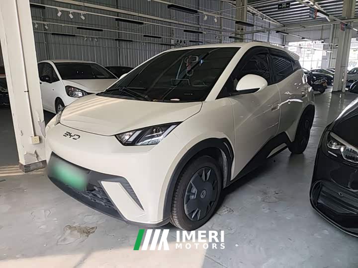 BYD Seagull Glory Edition 305km Vitality Version - ავტომობილი ჩინეთიდან