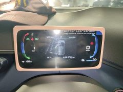 BYD Seagull Glory Edition 305km Vitality Version - ფოტო 12