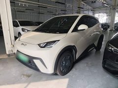 BYD Seagull Glory Edition 305km Vitality Version - ფოტო 2