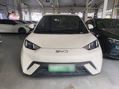 BYD Seagull Glory Edition 305km Vitality Version - ფოტო 3
