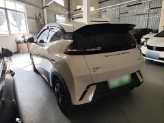 BYD Seagull Glory Edition 305km Vitality Version - ფოტო 5