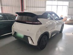 BYD Seagull Glory Edition 305km Vitality Version - ფოტო 7