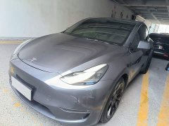 Tesla Model Y Long Range All-Wheel Drive 3D7 - ფოტო 1