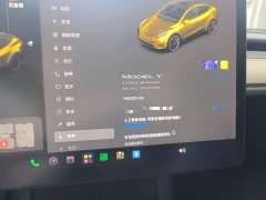 Tesla Model Y Long Range All-Wheel Drive 3D7 - ფოტო 12