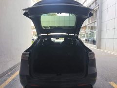 Tesla Model Y Long Range All-Wheel Drive 3D7 - ფოტო 19