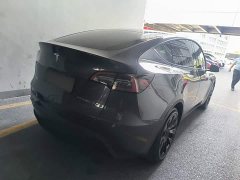 Tesla Model Y Long Range All-Wheel Drive 3D7 - ფოტო 7