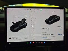 Tesla Model Y Long Range All-Wheel Drive 3D7 - ფოტო 12