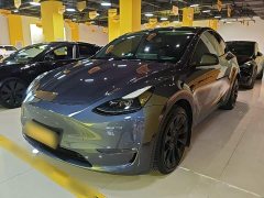 Tesla Model Y Long Range All-Wheel Drive 3D7 - ფოტო 2