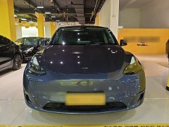 Tesla Model Y Long Range All-Wheel Drive 3D7 - ფოტო 3