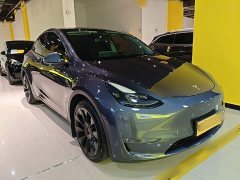 Tesla Model Y Long Range All-Wheel Drive 3D7 - ფოტო 4