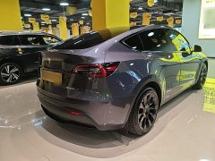 Tesla Model Y Long Range All-Wheel Drive 3D7 - ფოტო 7